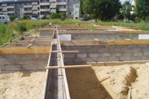 kose armeerimine 006.jpg